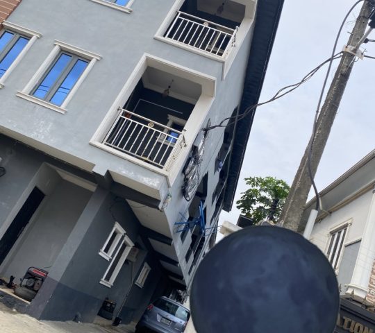 Female roommate needed in a self con, Palmgrove Lagos